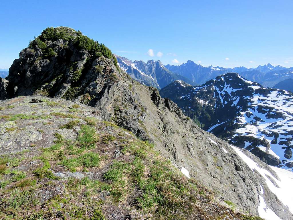 True summit of West Goat Mountain from end of the trail