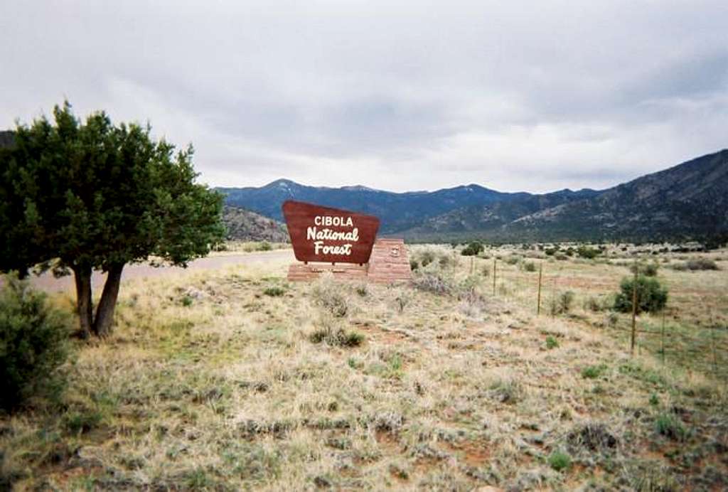 The Cibola National Forest...
