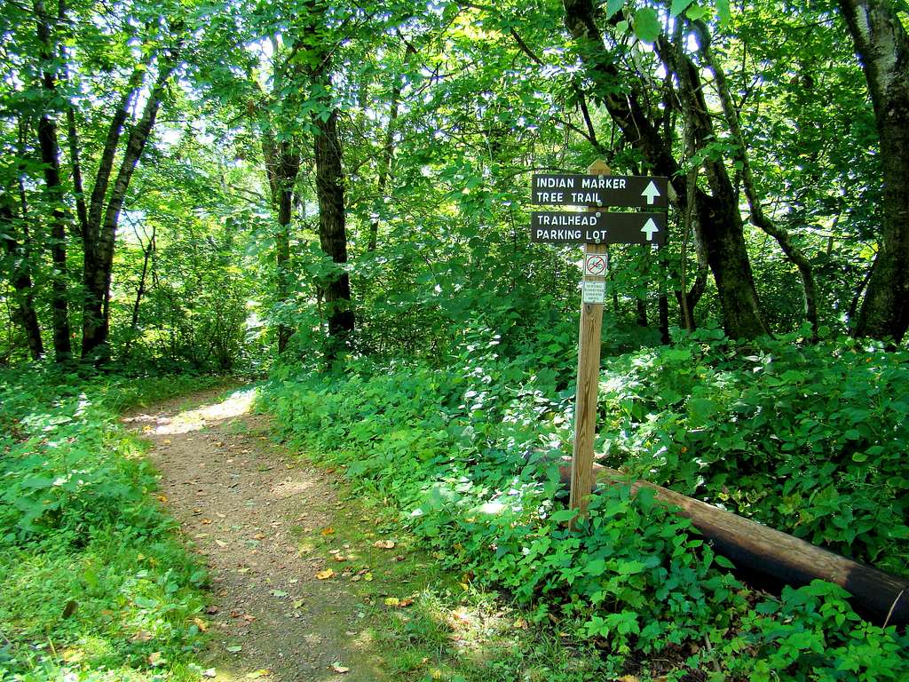 Blue Mound Indian Marker Tree Trail