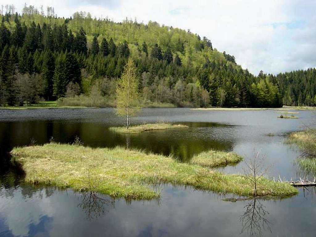 Lispach lake (May 8, 2005)