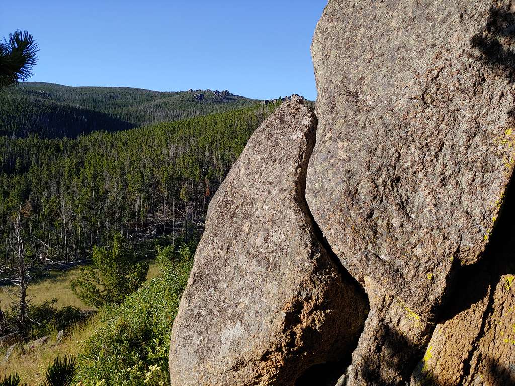 Castle Mountains from Cow Patty