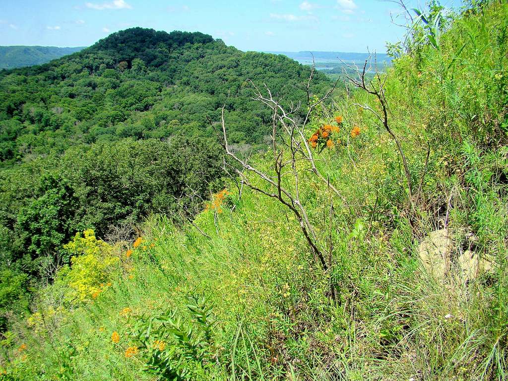 Perrot Ridge View of Brady's Bluff