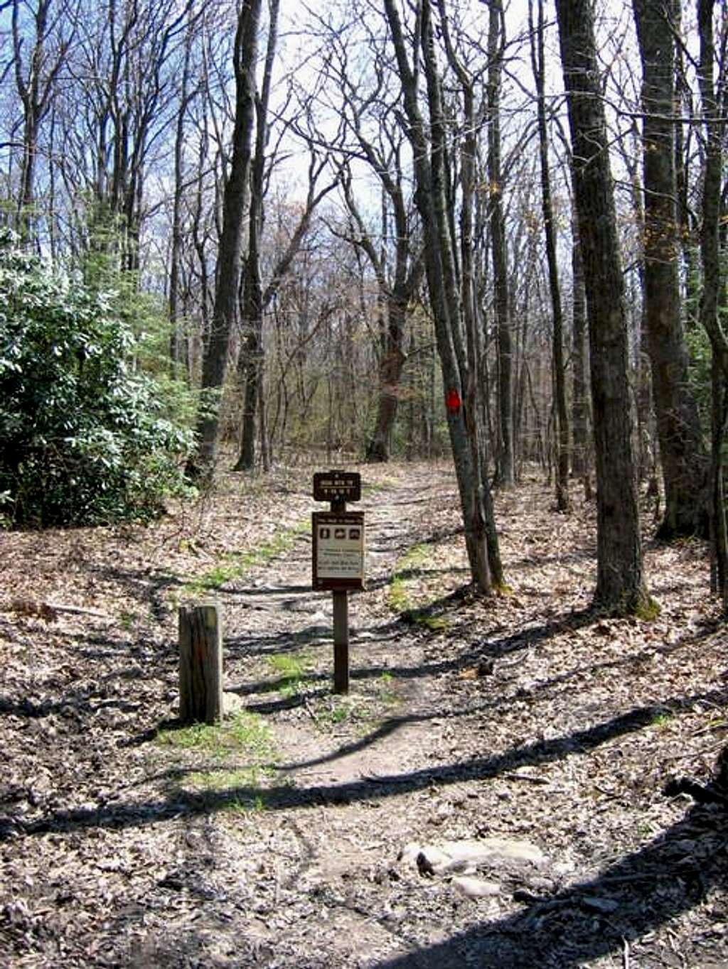 An Iron Mountain Trail marker...