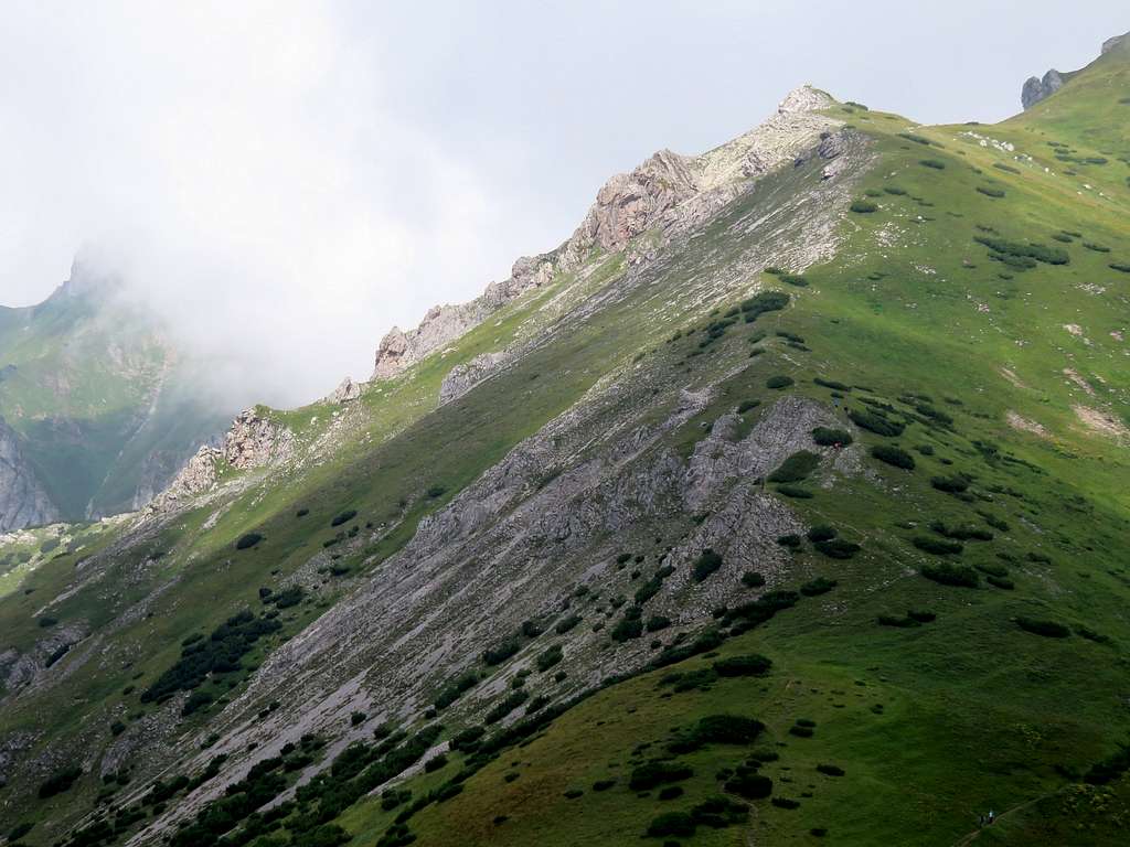 Slopes of Hlupy vrch