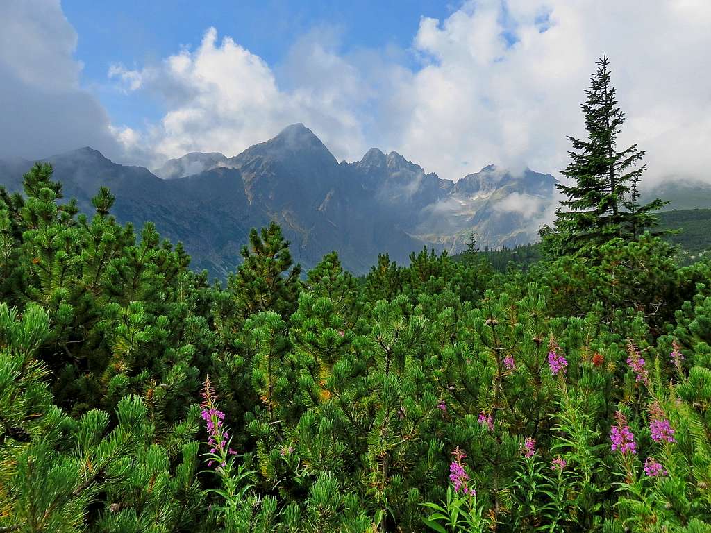 Giants of Eastern Tatras