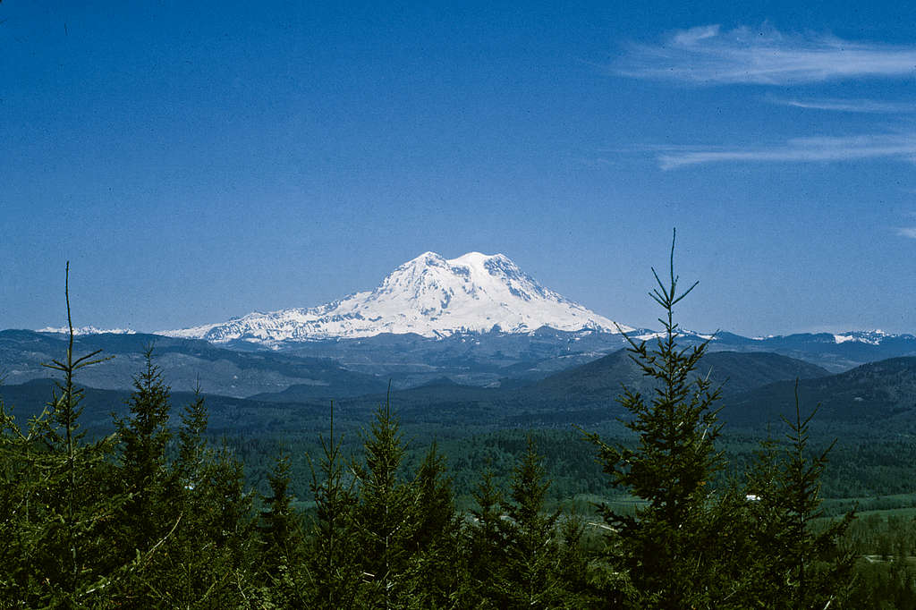 Mt. Rainier from Pack Forest lookout (1974)