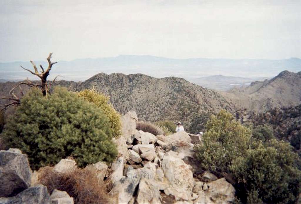 The summit of Kingston Peak.