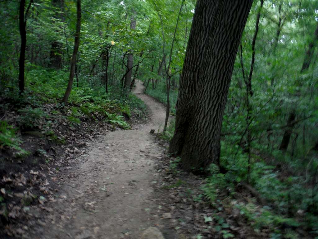 Trail Up Sugarloaf