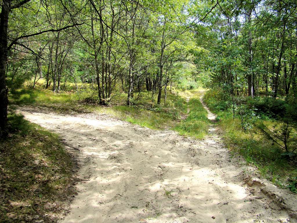 Saddle Mound Trail Fork