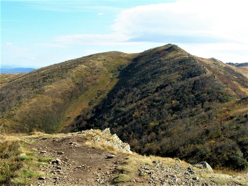 View towards the highest peak of Bukowe Berdo (1311m)