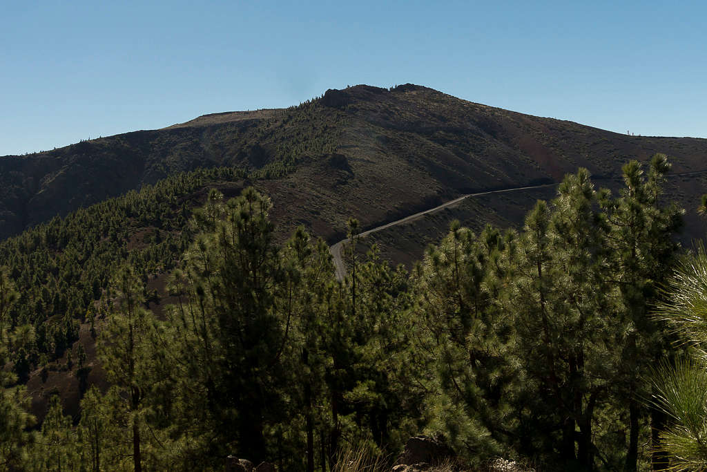 Montaña de la Negra (2241m)