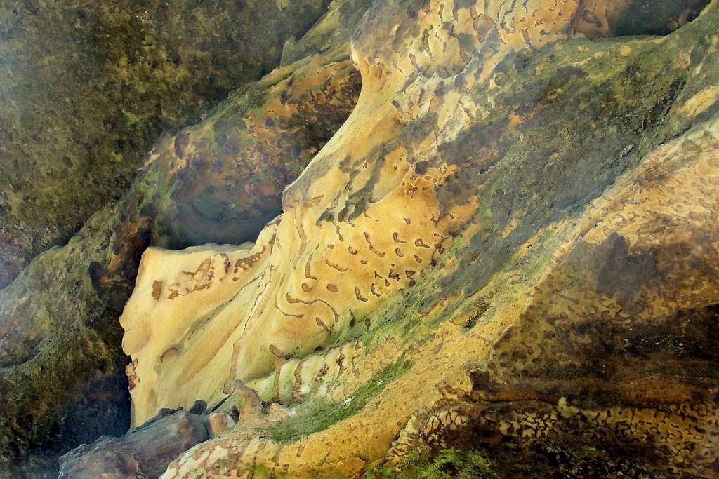 Wildcat Mound Sandstone Natural Patterns