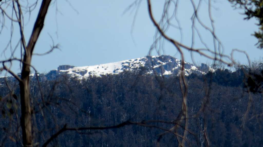 Mount Ossa, approaching trailhead