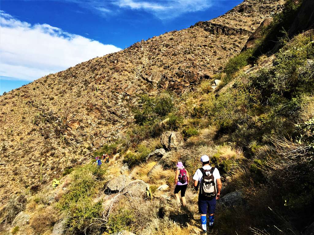 Descending the Harquahala Mountain Trail