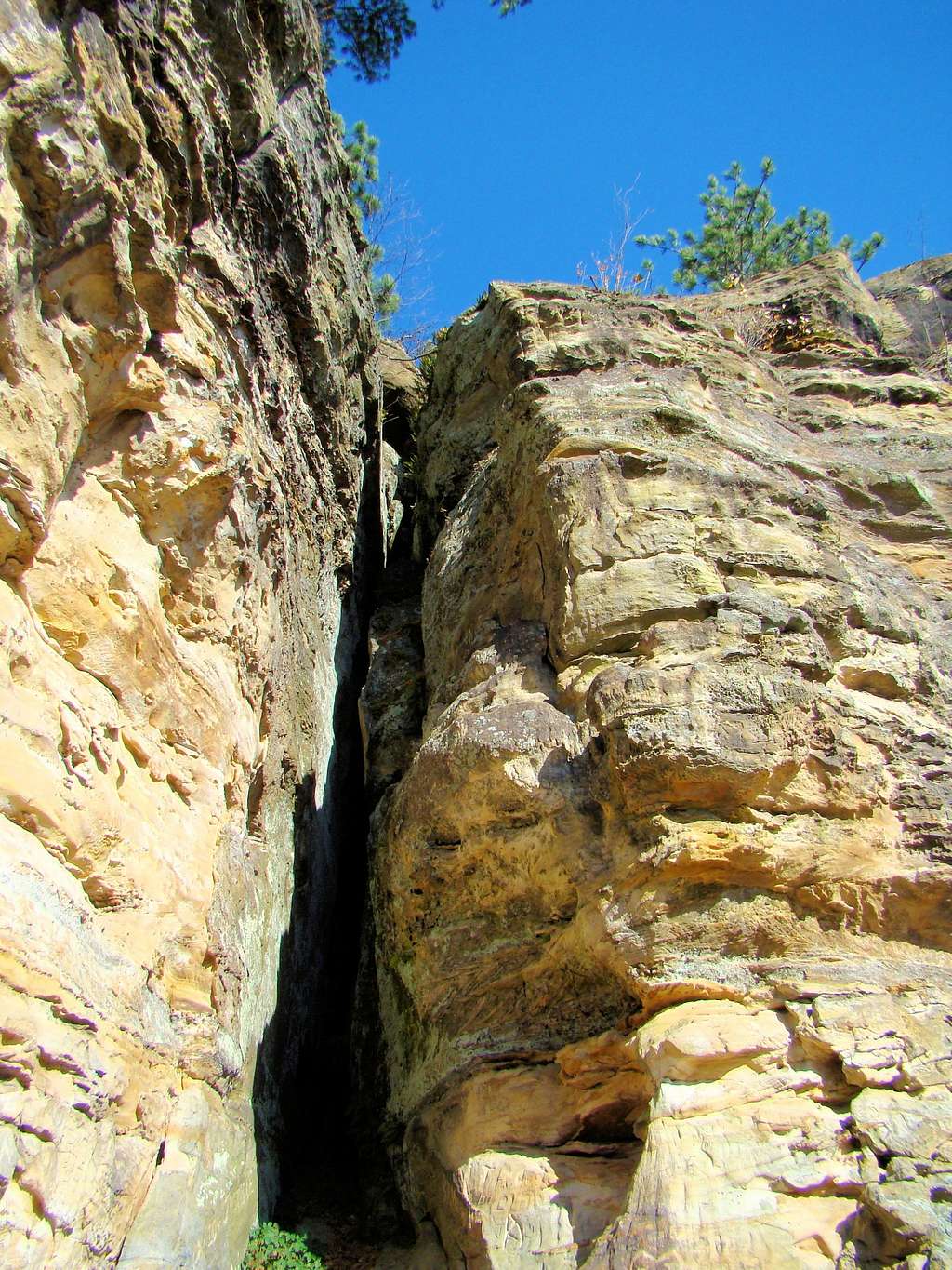 Rock Crevice