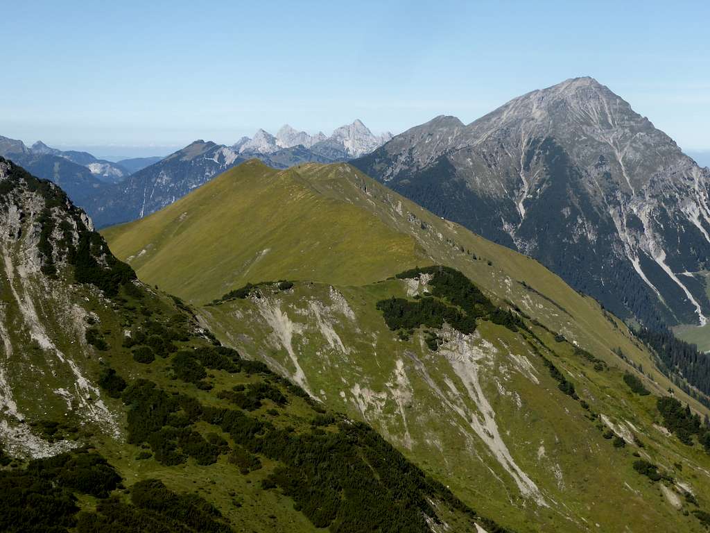 Hönig / Sonnberg