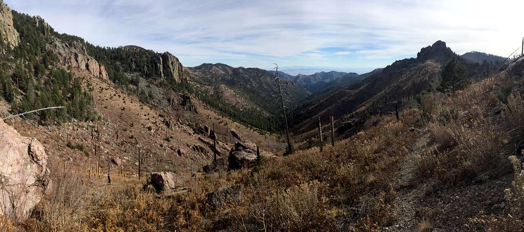 Just south of Chiricahua Peak on the Crest Trail