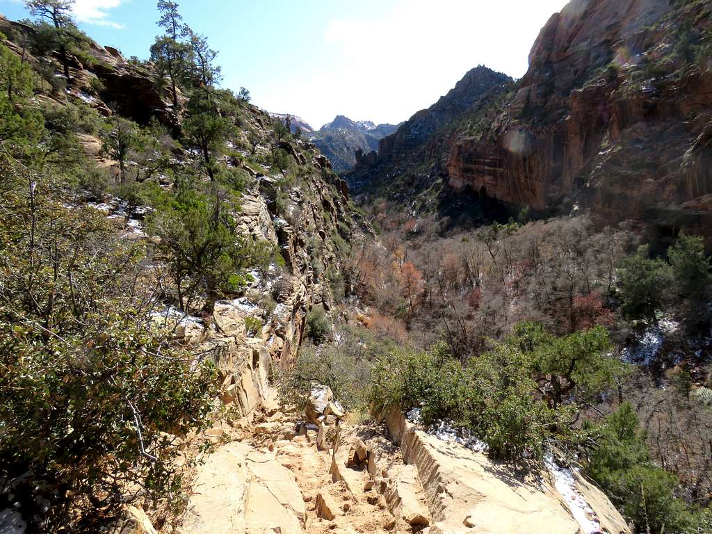 Looking down Squirrel Canyon