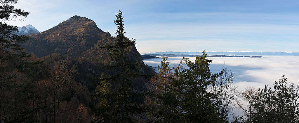 Rochusberg panorama