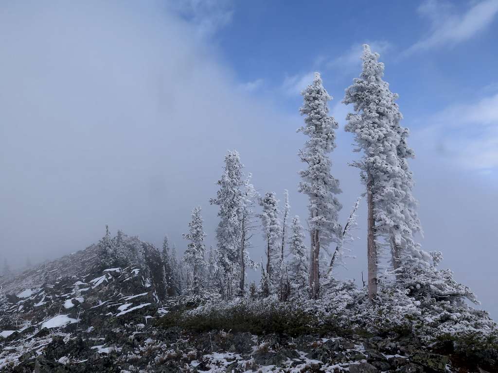 The summit of Powderface in the fog