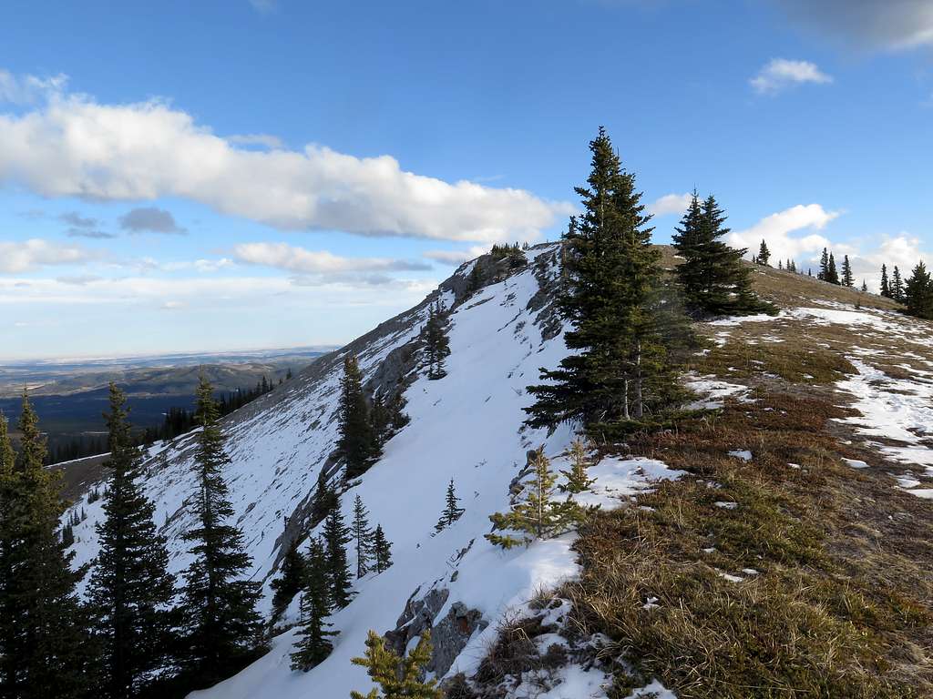 Looking up the final stretch of Prairie Mountain's north ridge (west ridge route)