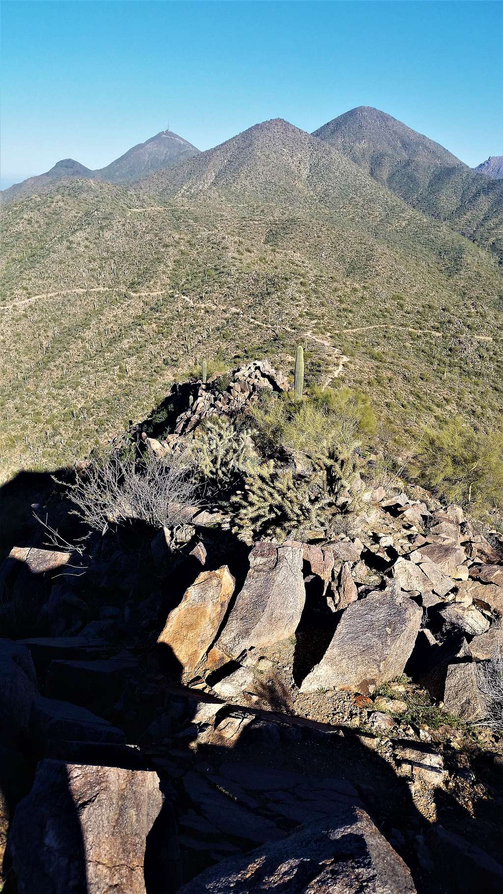 View from the summit to the higher peaks of the McDowell Range