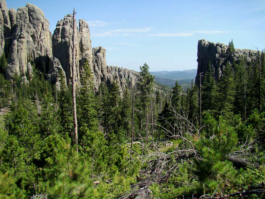 Trail 4 View of Cathedral Spires