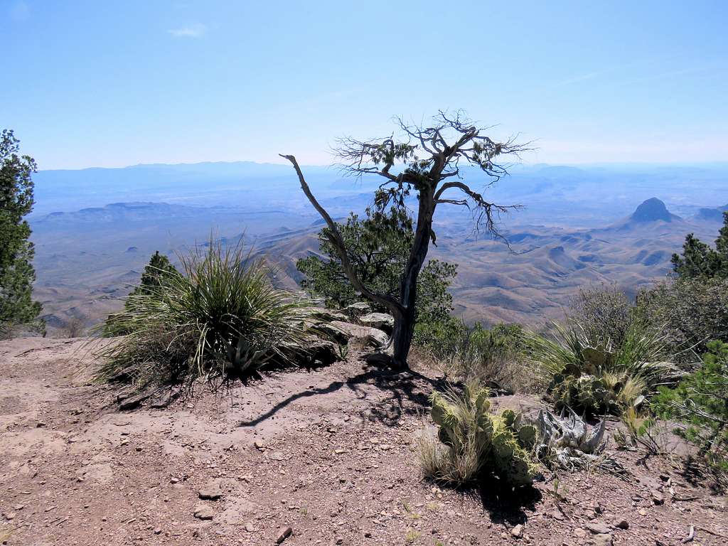 From South Rim