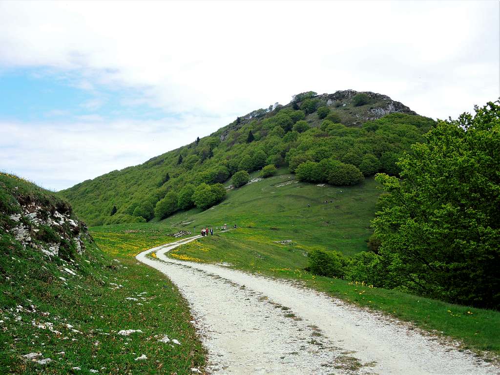 Monte Vignola