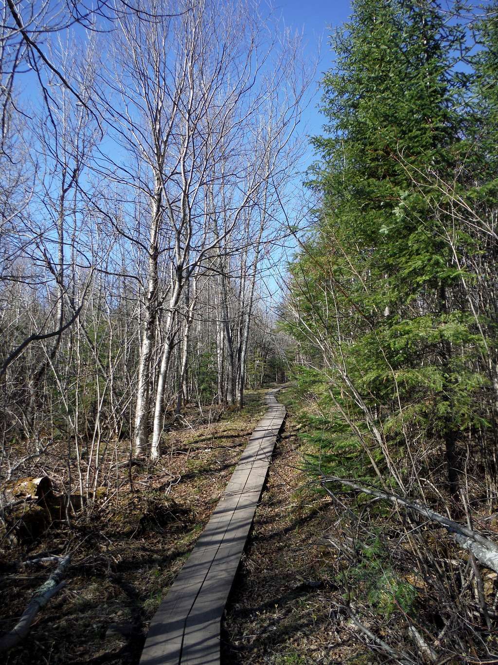 Trail from Britton Peak area to Carlton Peak