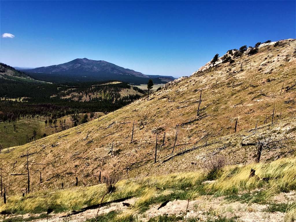 View of Kendrick Peak while hiking up White Horse Hills - West Peak