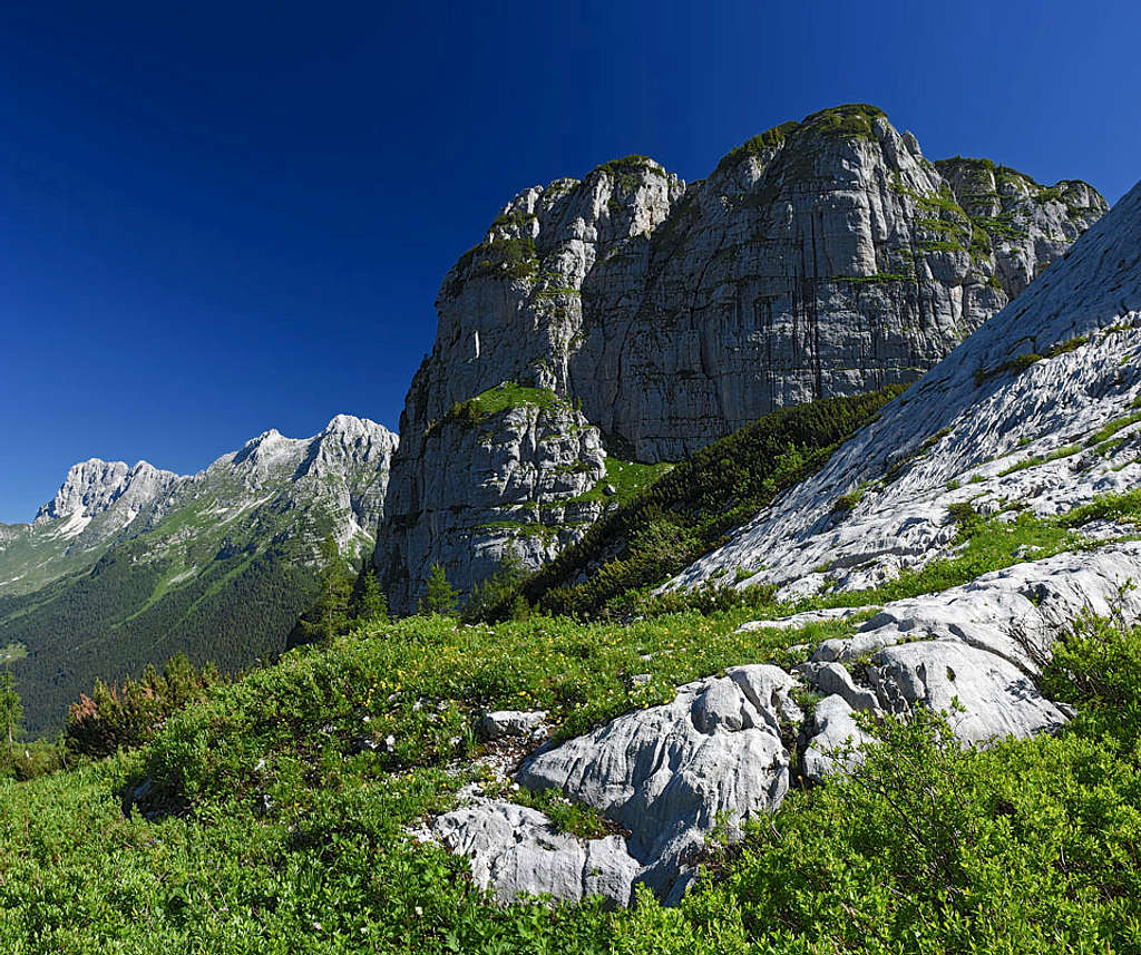 Karst below Monte Poviz