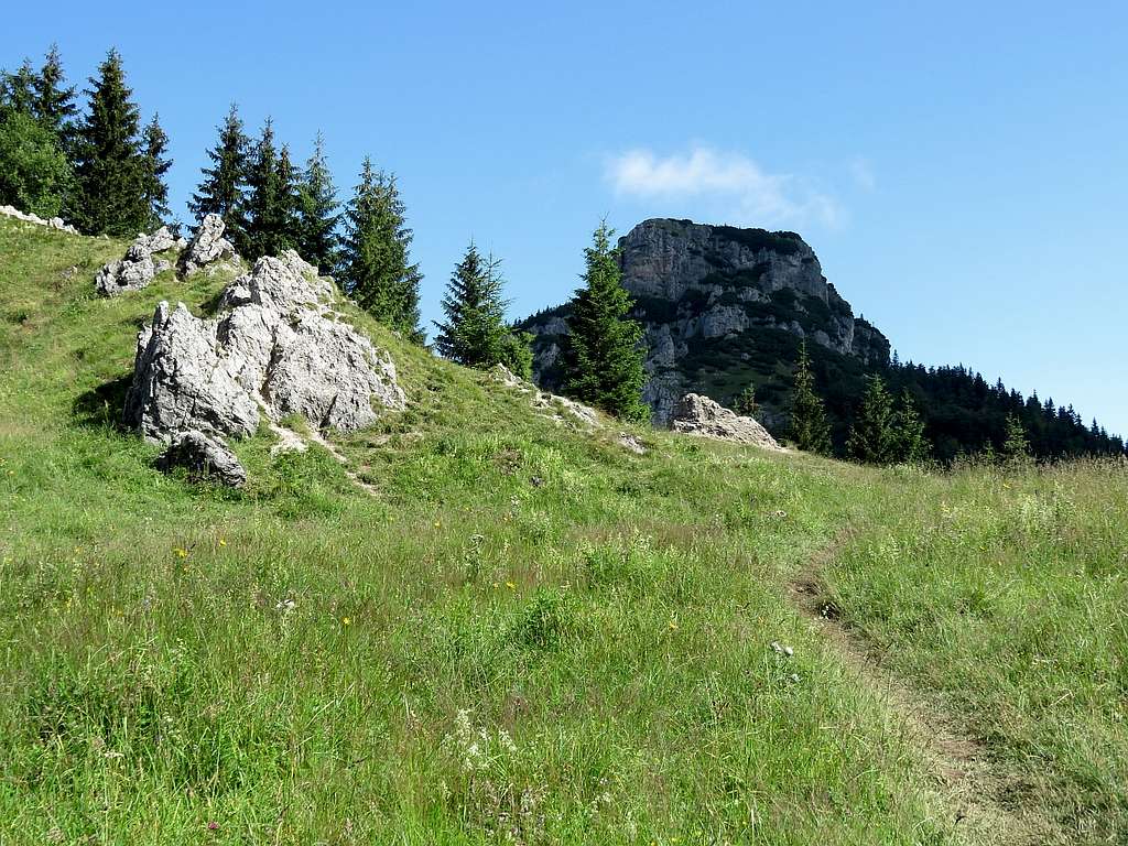 Maly Rozsutec from trail
