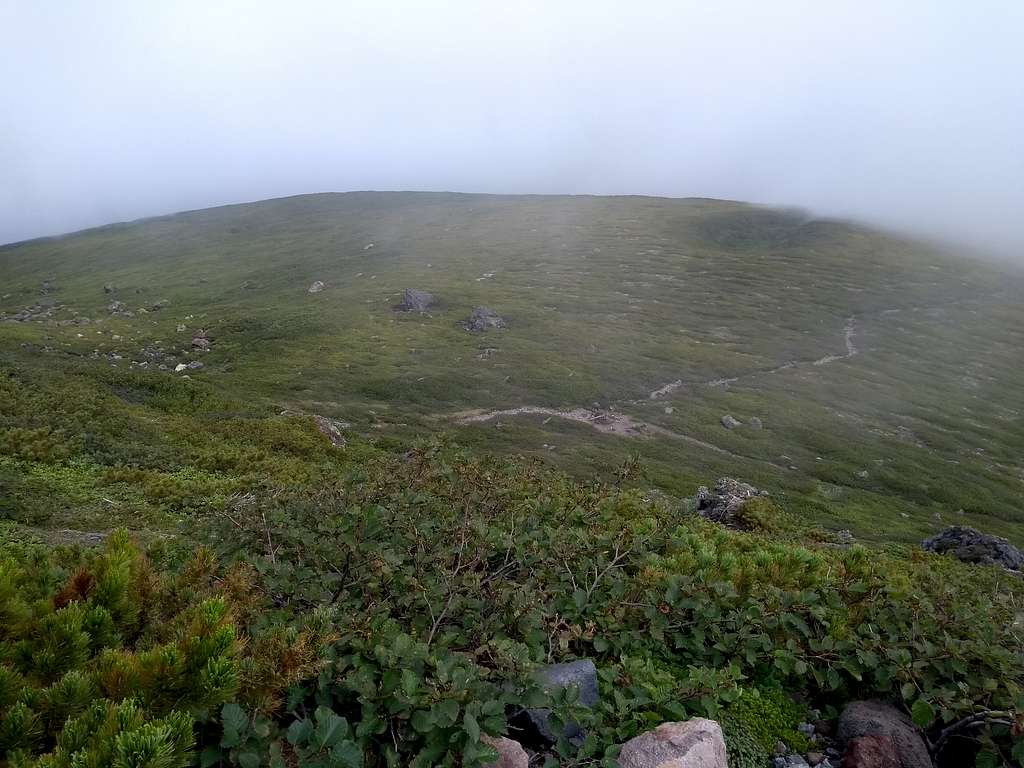 Rausu Plateau from slopes of Mt Rausu