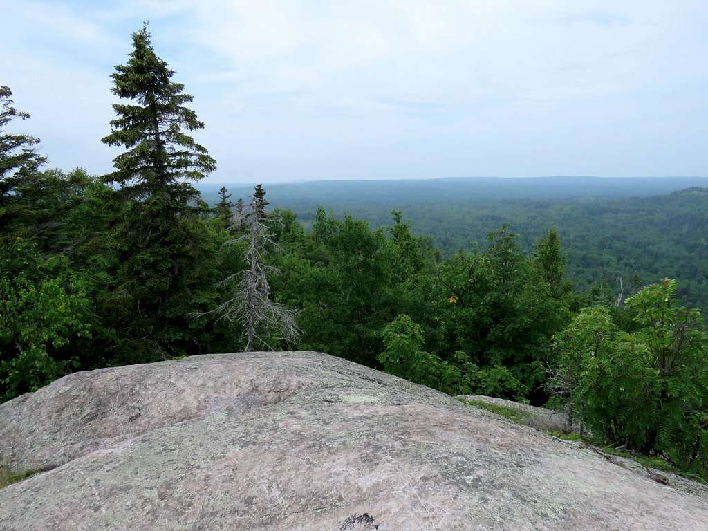 From the summit of Carlton Peak