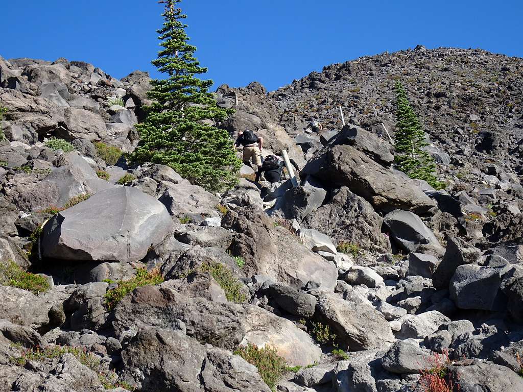 St Helens:  Ascending Monitor Ridge 2