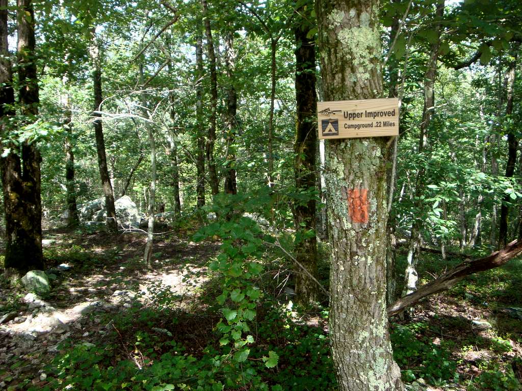 Take the Red Blazed Trail from the Upper Campground