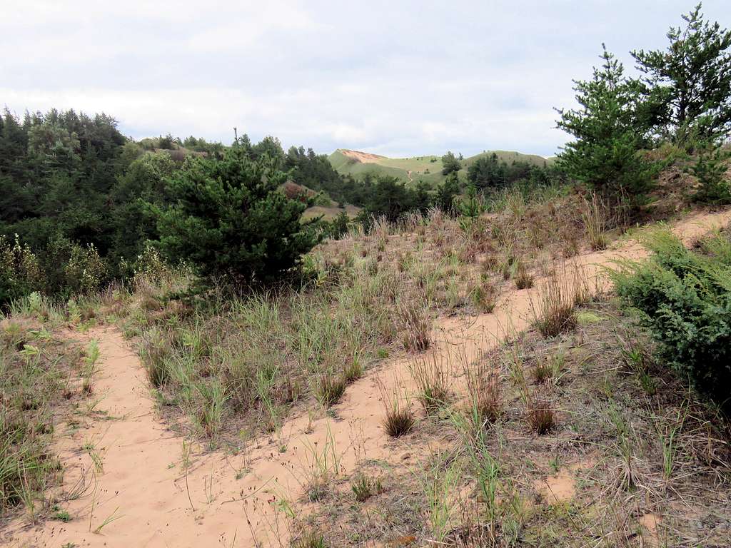 Sand Dunes