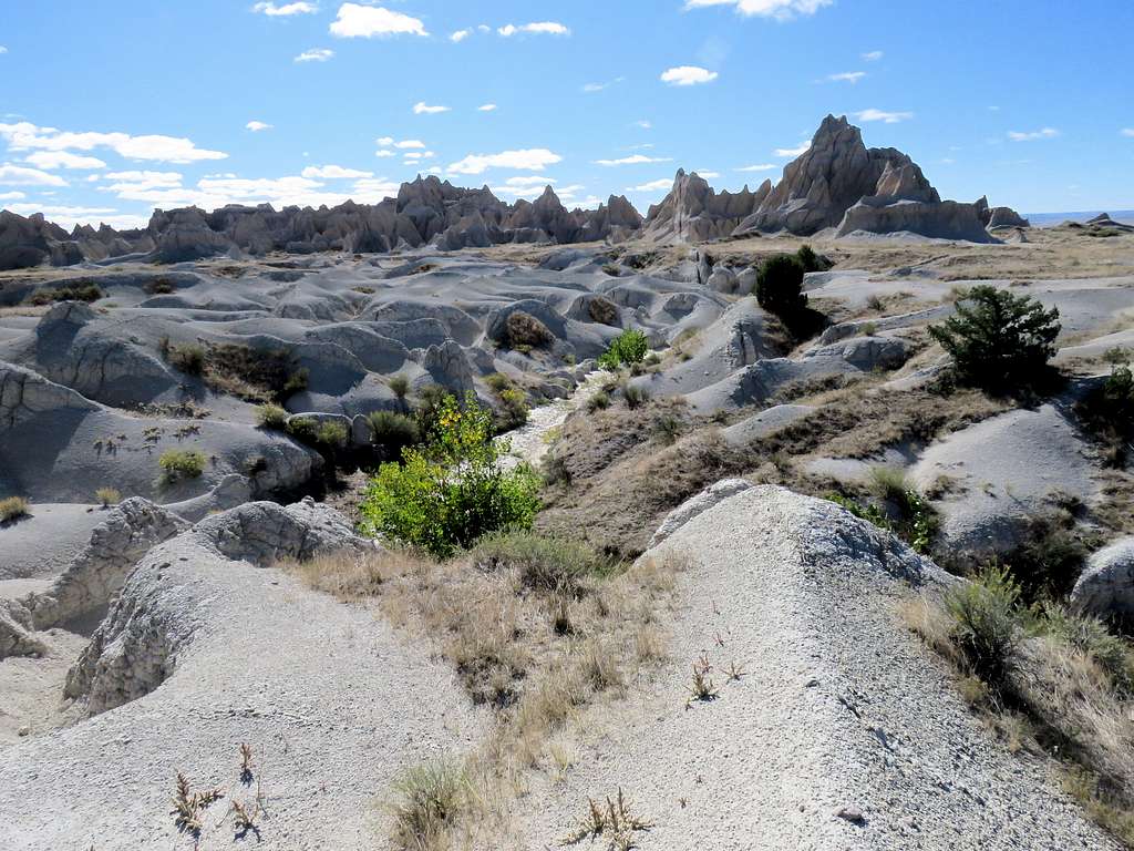 Upper Sage Creek