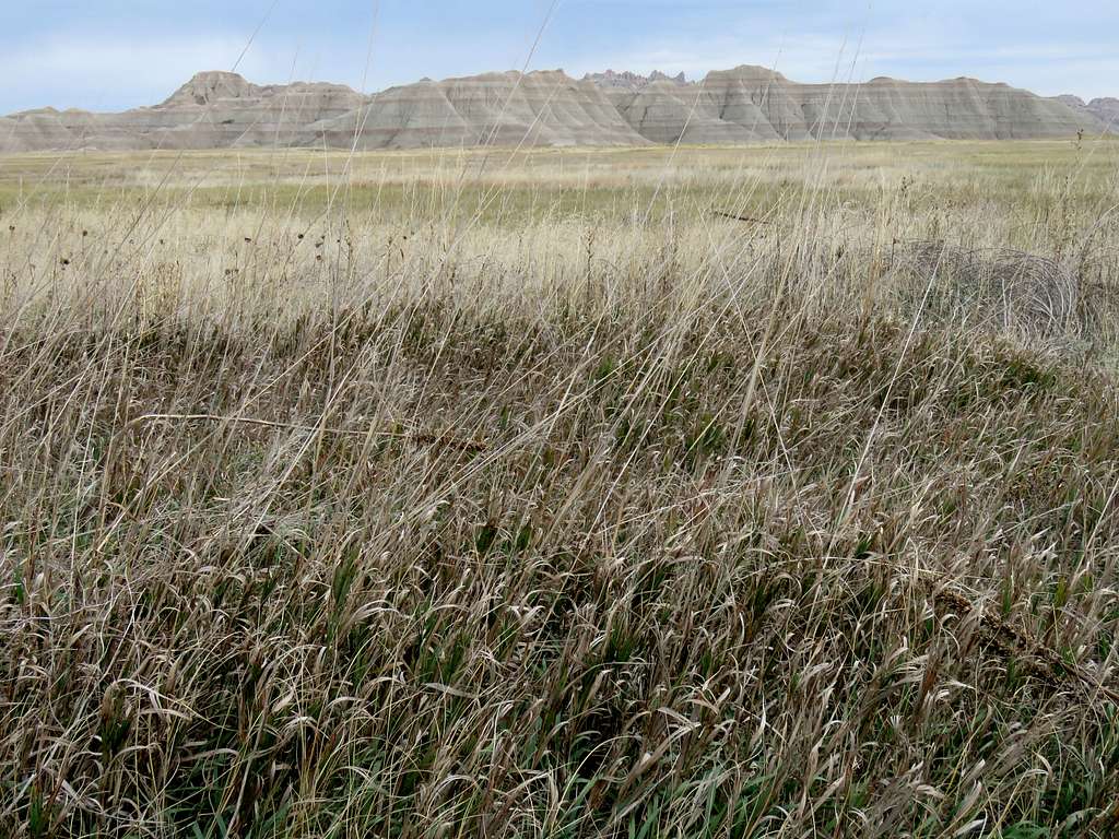 Ridgeline on grassy plain