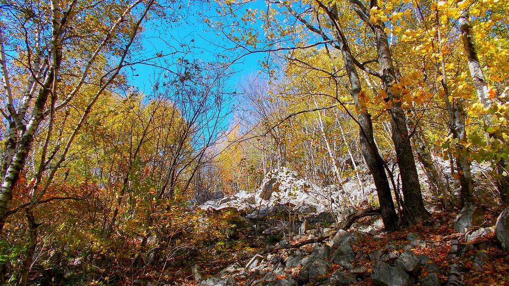 Trailside Autumn Color