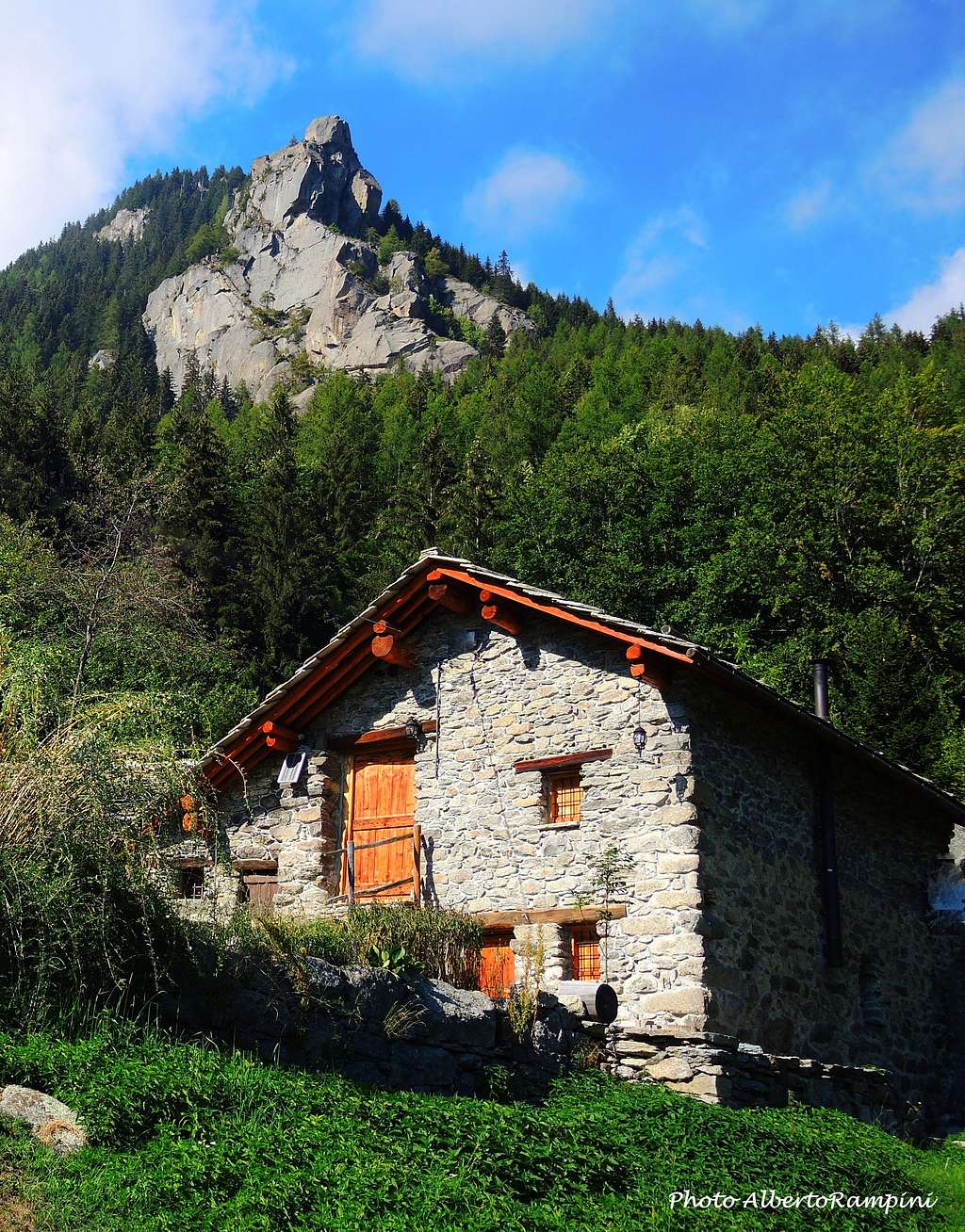 An ancient alm at foot of Bec di Roci Ruta