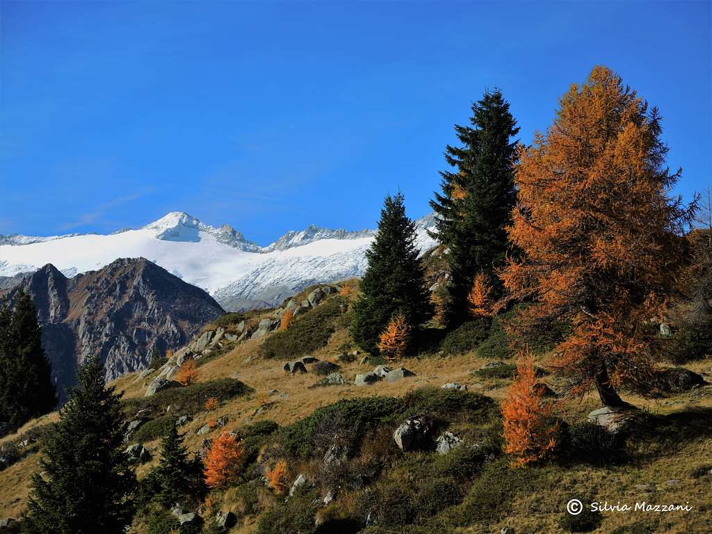 Autumn landscape near Malga di San Giuliano