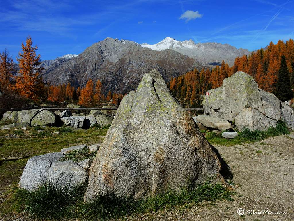 Erratic boulders and Presanella from Laghi di San Giuliano
