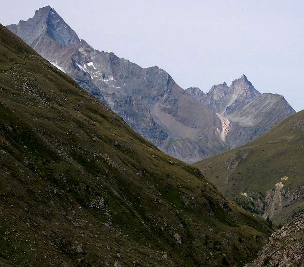  View of La Grivola subgroup from the neighbourhood of Alpi di Grauson Nuove