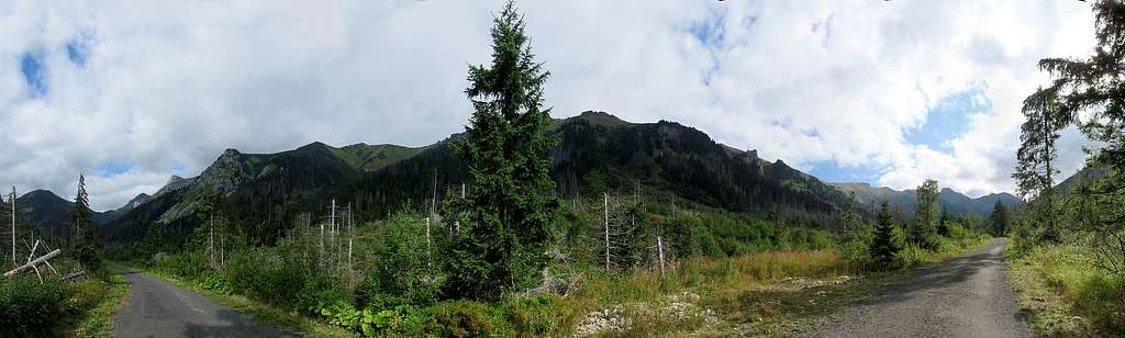 Panorama - Between Western and High Tatras