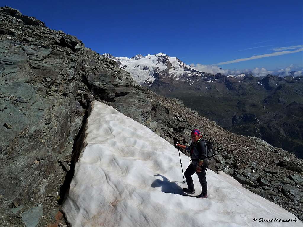 Monte Rosa group seen from Testa Grigia summit ridge