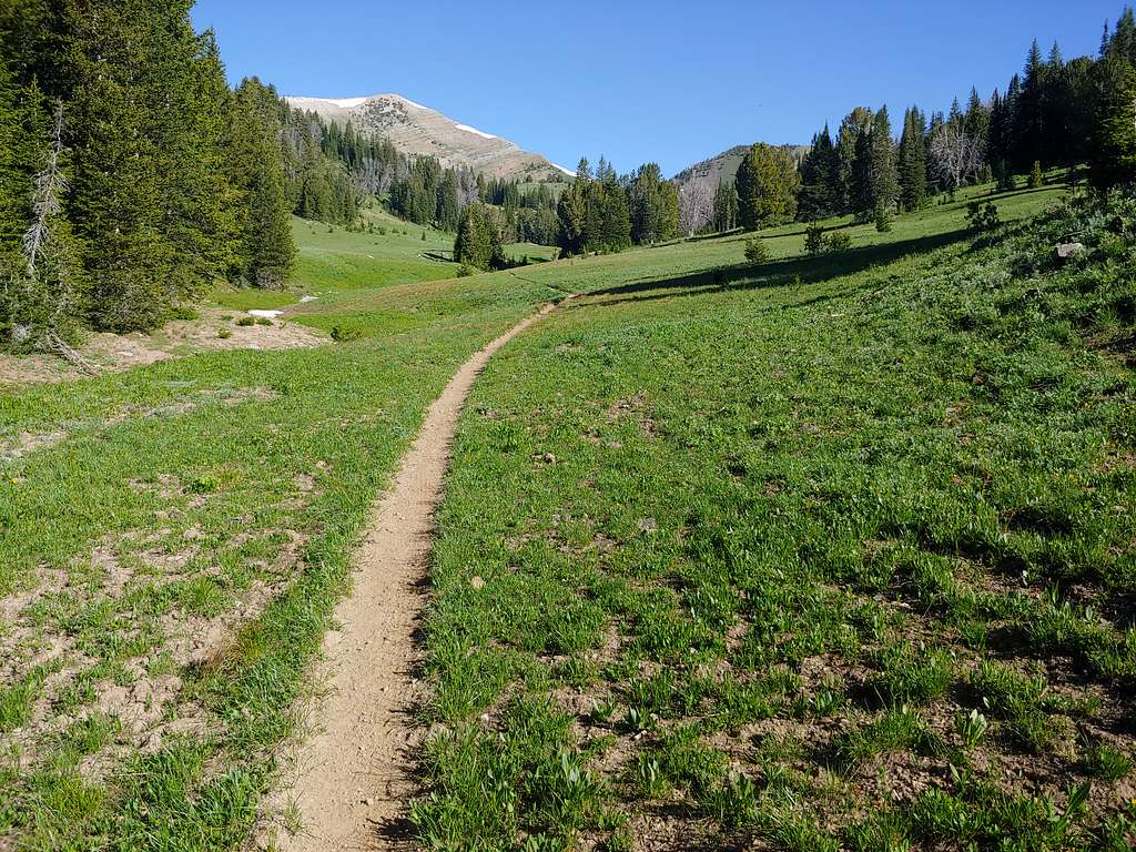 Trail to Sheep Pass
