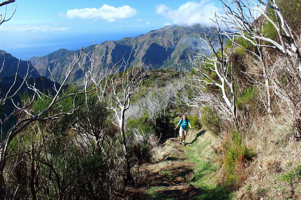 Path from Boca da Encumeada, Madeira.