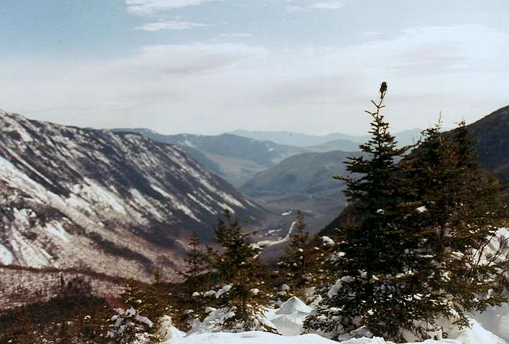 Looking into Crawford Notch...